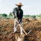 Chinedu Okoro photo