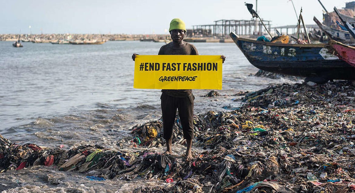 2a51bc6a-gp0styq8k-1024×683