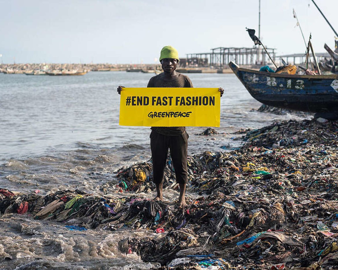 2a51bc6a-gp0styq8k-1024×683