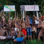 Sawré Muybu: A historic victory for the Munduruku People and the ongoing struggle for a living forest